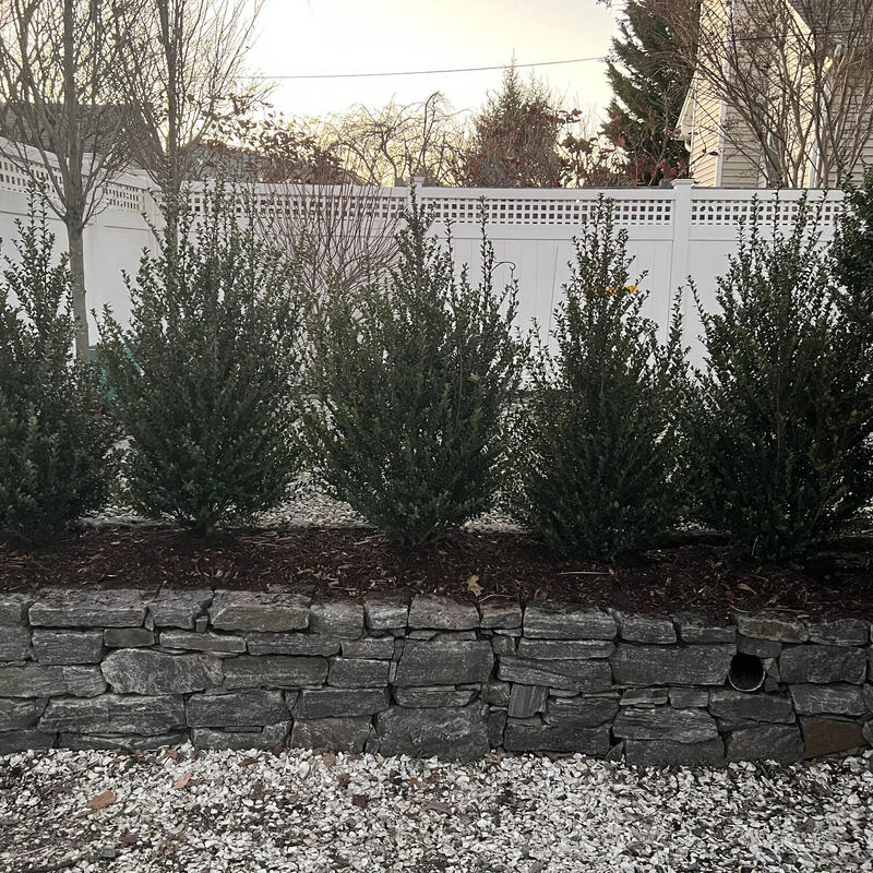 Kings Lawn Service project photo